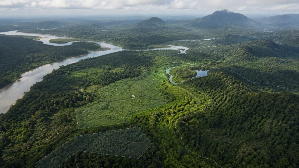 Gaïa interface: environmental parcels and contours over tropical forest